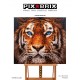 PIX BRIX Pixel Art Set 500 piezas Naranjas  gama media