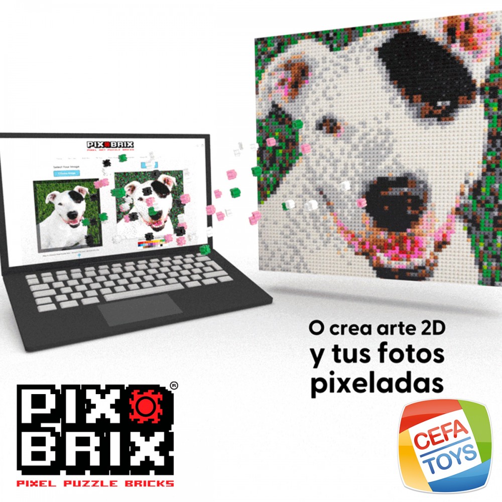 Pix Brix 3000 piezas