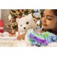 The Elf on the Shelf: Cuento y Peluche – La Extraordinaria Historia de Noorah