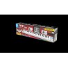 Teclado Plegable con Altavoces FP 49 iDance