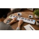 Teclado Plegable con Altavoces FP 49 iDance