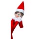 The Elf on the Shelf: Cuento y Muñeco Articulado Elfo Niño